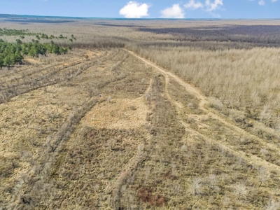Turnkey Hunting Property in Catahoula Parish - image 21