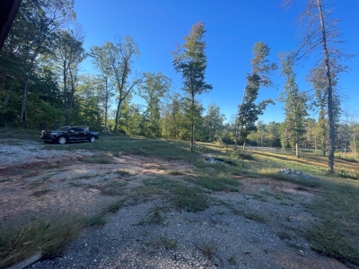 3 bedroom 2 bath country home for sale near Magnolia Ky. - image 40