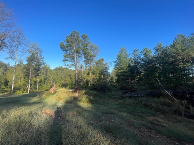 3 bedroom 2 bath country home for sale near Magnolia Ky. - image 34