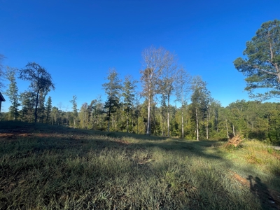 3 bedroom 2 bath country home for sale near Magnolia Ky. - image 35
