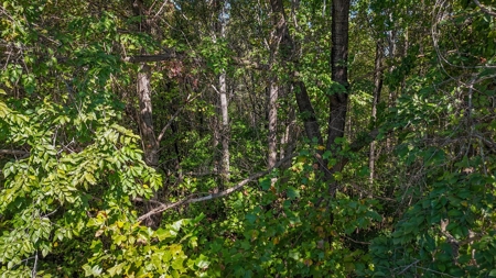 Residential Acreage in the Heart of Lexington NC - image 15