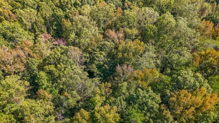 Residential Acreage in the Heart of Lexington NC - image 13