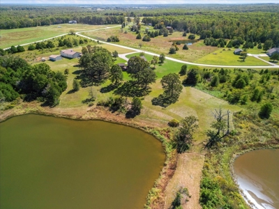 Exquisite Contemporary Ranch Home w/Stunning Lake View - image 43