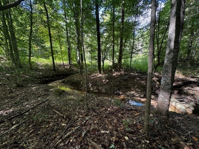 206 Acres on the Meherrin River – Hunting & Timber Land, VA - image 6