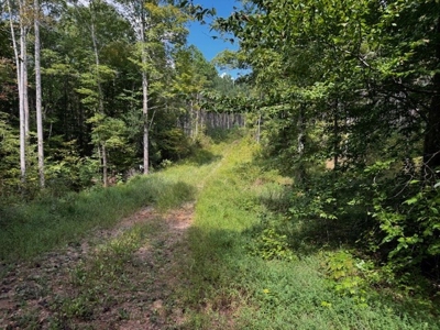 206 Acres on the Meherrin River – Hunting & Timber Land, VA - image 7