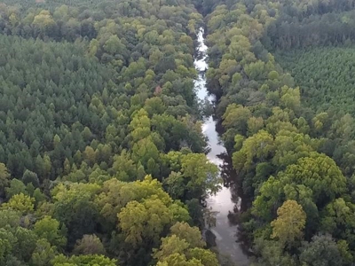 206 Acres on the Meherrin River – Hunting & Timber Land, VA - image 1