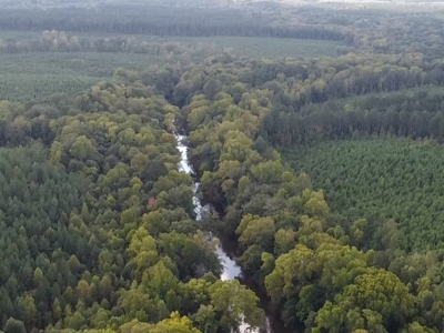 206 Acres on the Meherrin River – Hunting & Timber Land, VA - image 33