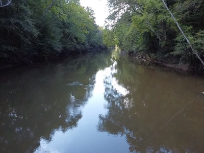 206 Acres on the Meherrin River – Hunting & Timber Land, VA - image 14