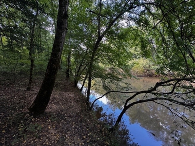 206 Acres on the Meherrin River – Hunting & Timber Land, VA - image 13