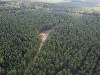 206 Acres on the Meherrin River – Hunting & Timber Land, VA - image 36