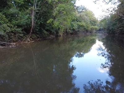 206 Acres on the Meherrin River – Hunting & Timber Land, VA - image 15