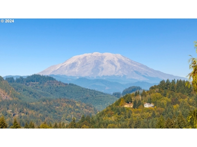 Beautiful Craftsman-Style Home in Yacolt WA - image 7