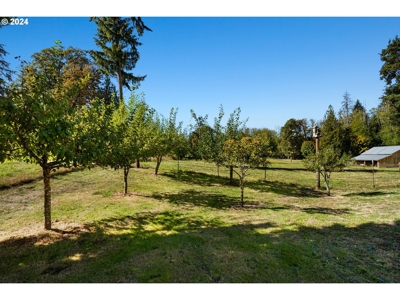 Beautiful Craftsman-Style Home in Yacolt WA - image 41