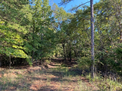 Hunting Camp For Sale In Tn. Cabin & Storage, 58 Acres+/- - image 16