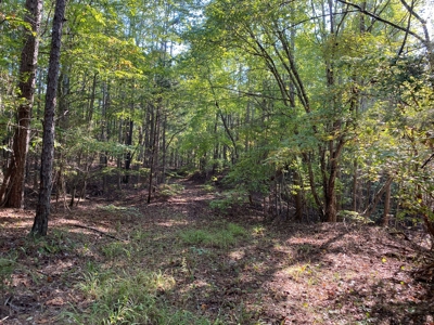 Hunting Camp For Sale In Tn. Cabin & Storage, 58 Acres+/- - image 31