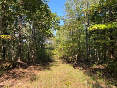 Hunting Camp For Sale In Tn. Cabin & Storage, 58 Acres+/- - image 29