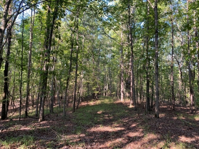 Hunting Camp For Sale In Tn. Cabin & Storage, 58 Acres+/- - image 21