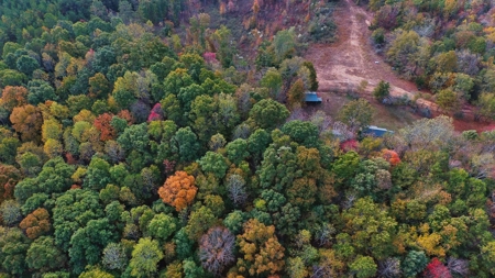 Hunting Camp For Sale In Tn. Cabin & Storage, 58 Acres+/- - image 48