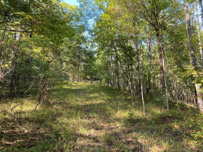 Hunting Camp For Sale In Tn. Cabin & Storage, 58 Acres+/- - image 25