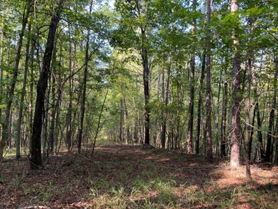 Hunting Camp For Sale In Tn. Cabin & Storage, 58 Acres+/- - image 24