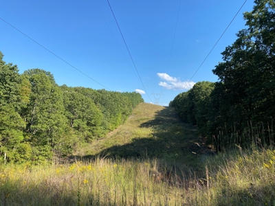 Hunting Camp For Sale In Tn. Cabin & Storage, 58 Acres+/- - image 7