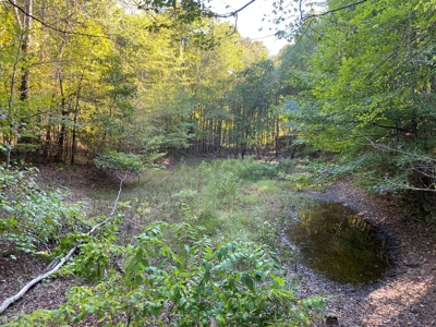 Hunting Camp For Sale In Tn. Cabin & Storage, 58 Acres+/- - image 33