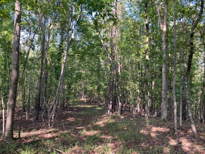 Hunting Camp For Sale In Tn. Cabin & Storage, 58 Acres+/- - image 19
