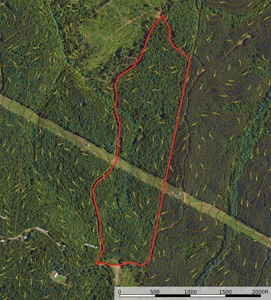 Hunting Camp For Sale In Tn. Cabin & Storage, 58 Acres+/- - image 34