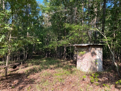 Hunting Camp For Sale In Tn. Cabin & Storage, 58 Acres+/- - image 18