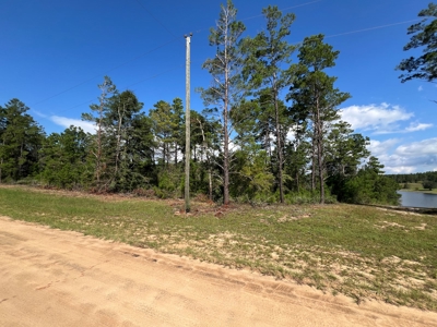 Lakefront Lot for Sale - Chipley Florida - Northwest FL - image 4