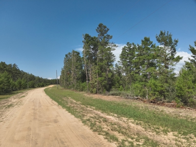 Lakefront Lot for Sale - Chipley Florida - Northwest FL - image 7