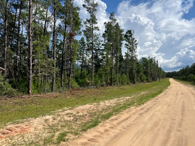 Lakefront Lot for Sale - Chipley Florida - Northwest FL - image 3