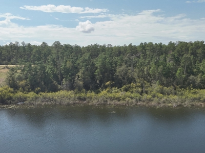 Lakefront Lot for Sale - Chipley Florida - Northwest FL - image 8