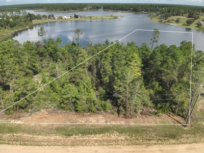 Lakefront Lot for Sale - Chipley Florida - Northwest FL - image 13