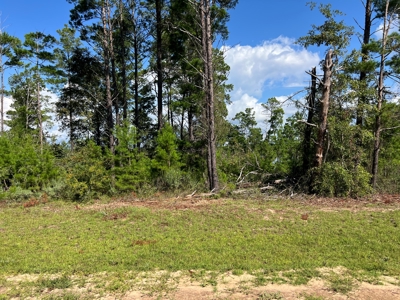 Lakefront Lot for Sale - Chipley Florida - Northwest FL - image 10