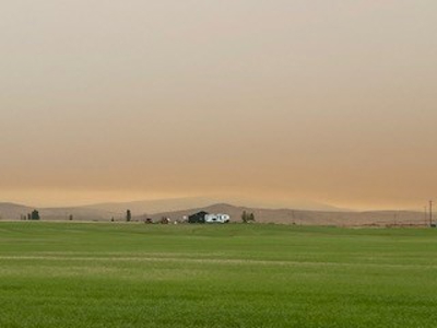 Alfalfa Hay Ranch - image 12