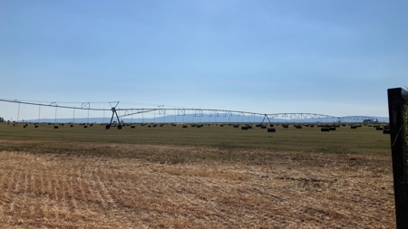 Alfalfa Hay Ranch - image 34