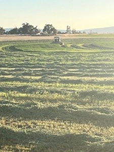 Alfalfa Hay Ranch - image 24