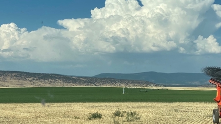 Alfalfa Hay Ranch - image 36