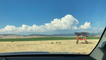 Alfalfa Hay Ranch - image 32