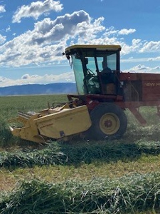 Alfalfa Hay Ranch - image 9