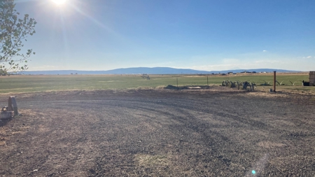 Alfalfa Hay Ranch - image 1