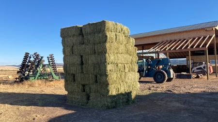 Alfalfa Hay Ranch - image 6