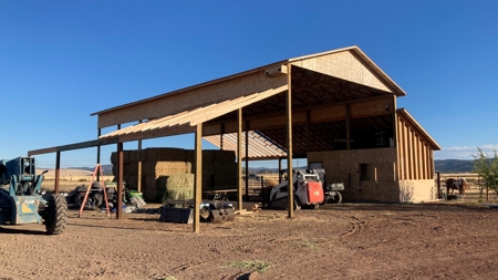 Alfalfa Hay Ranch - image 3