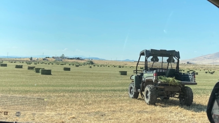 Alfalfa Hay Ranch - image 35