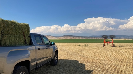 Alfalfa Hay Ranch - image 33