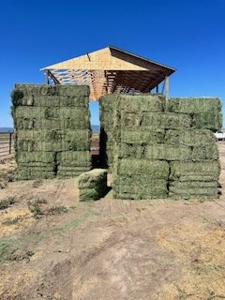 Alfalfa Hay Ranch - image 23
