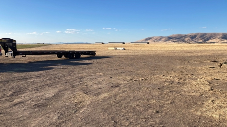 Alfalfa Hay Ranch - image 5