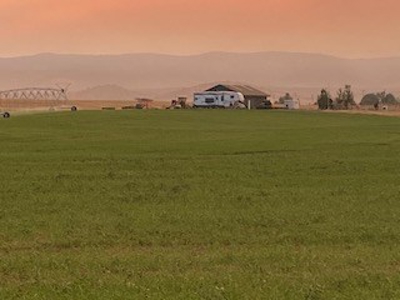Alfalfa Hay Ranch - image 11