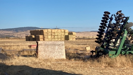 Alfalfa Hay Ranch - image 7